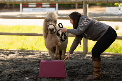 Classic Show Jumps 1 Step Heavy Duty Mounting Block