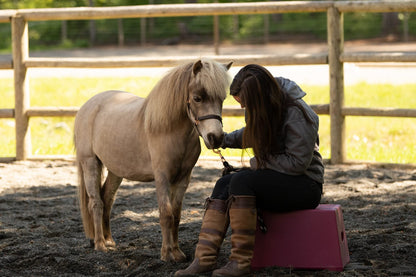 Classic Show Jumps 1 Step Heavy Duty Mounting Block