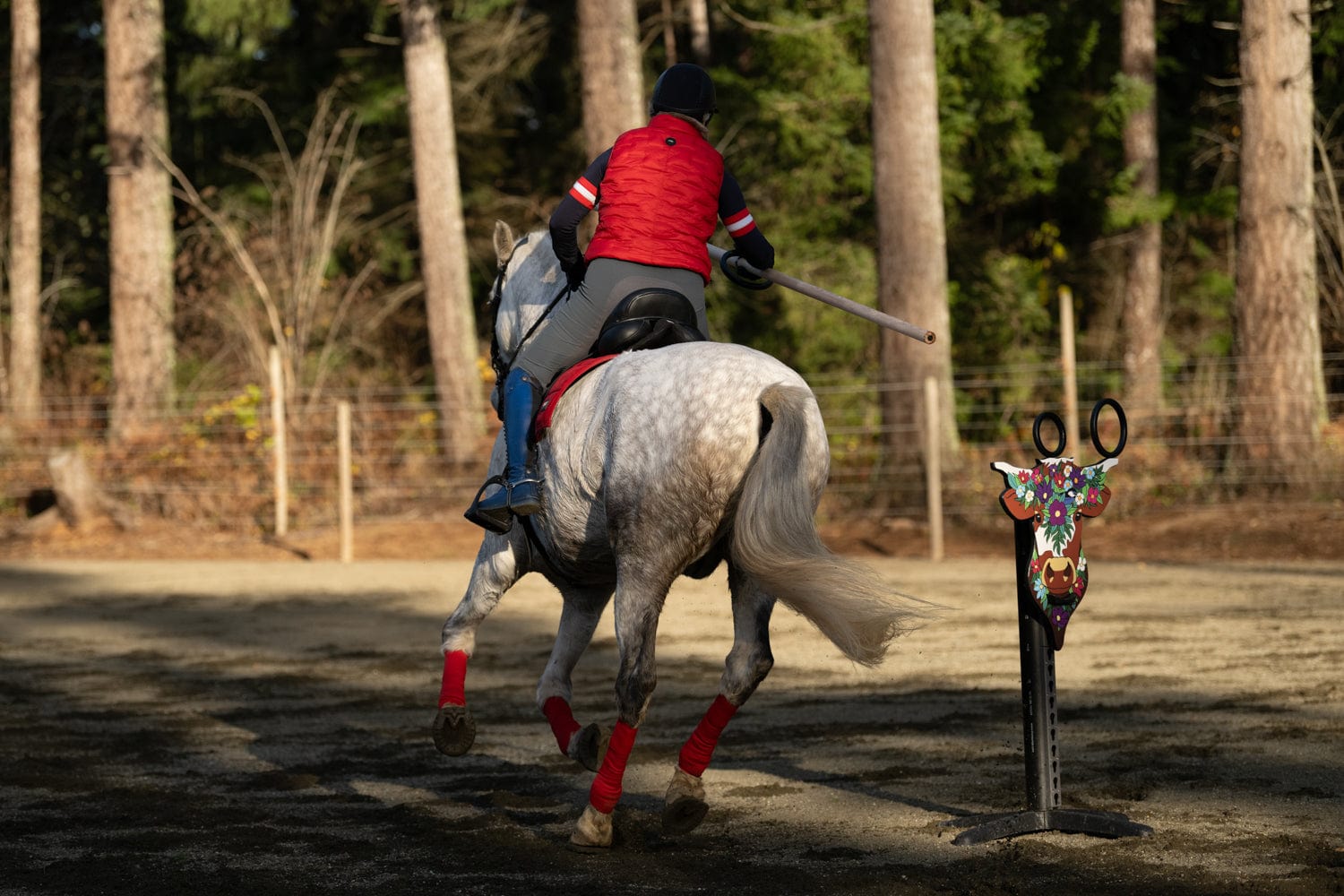 Copper Pony Poles Bundle Competition Bull Obstacle (with stand)