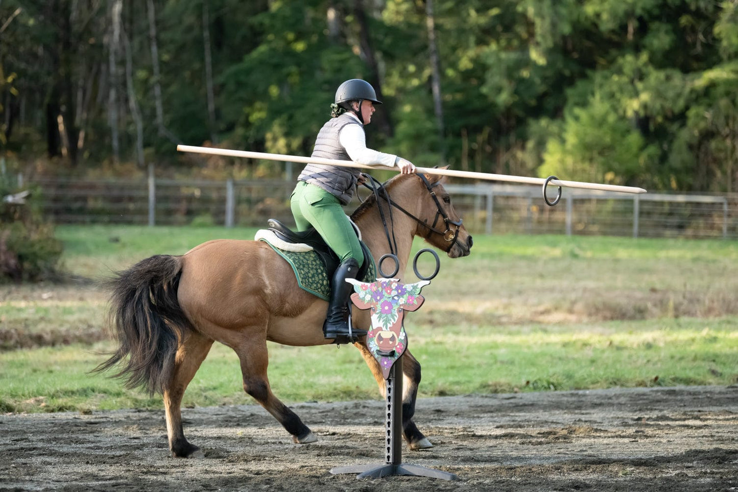 Copper Pony Poles Working Equitation Competition Bull Obstacle