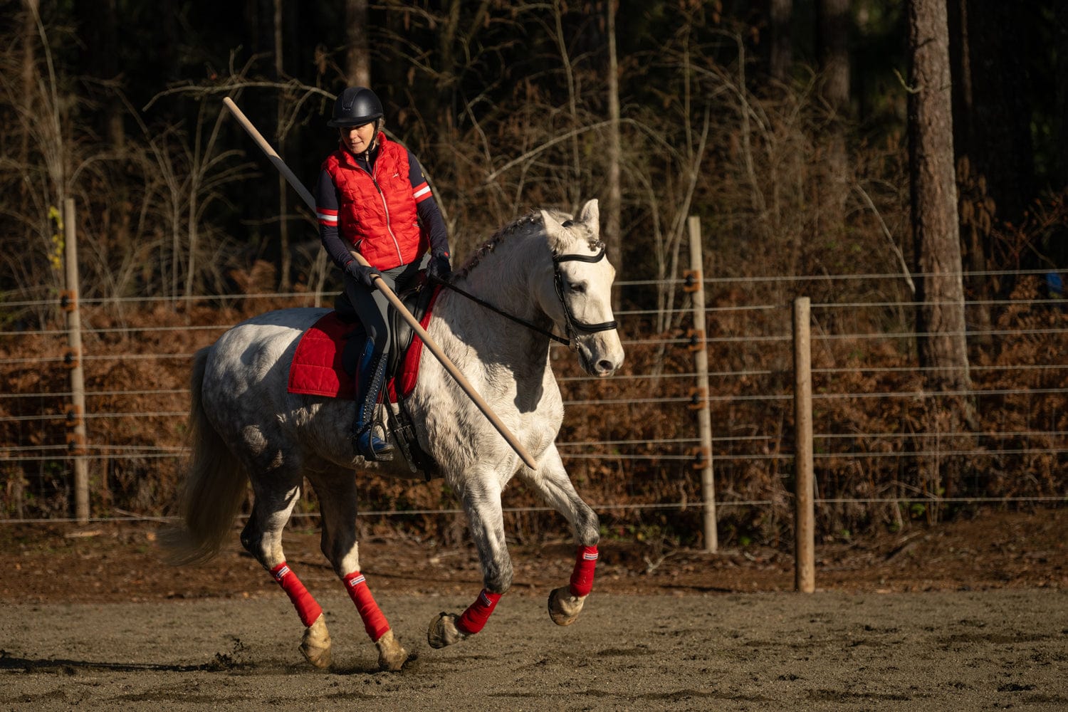 Copper Pony Poles Working Equitation Competition Bull Obstacle