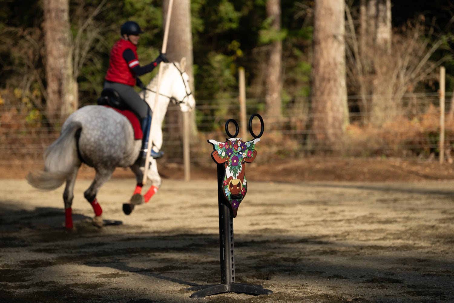 Copper Pony Poles Working Equitation Competition Bull Obstacle