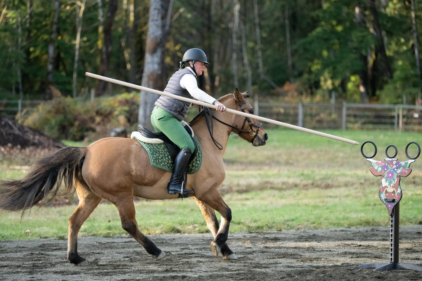 Copper Pony Poles Working Equitation Competition Bull Obstacle