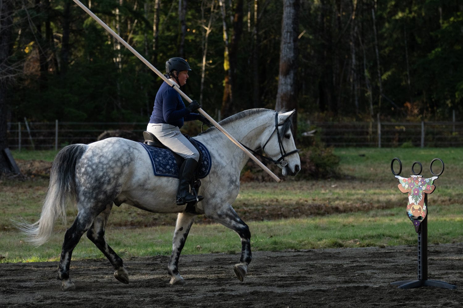 Copper Pony Poles Working Equitation Competition Bull Obstacle