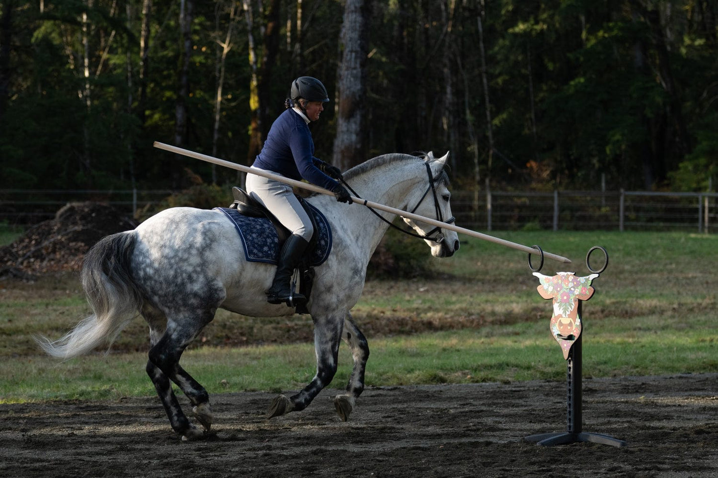 Copper Pony Poles Working Equitation Competition Bull Obstacle