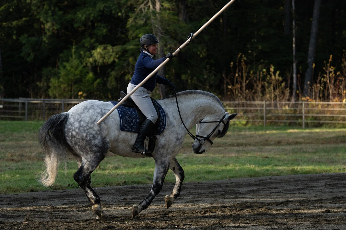 Copper Pony Poles Working Equitation Competition Bull Obstacle