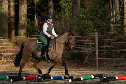 Jump 4 Joy Bundle Ultimate Polework Kit (6.5' Zero Maintenance Poles)