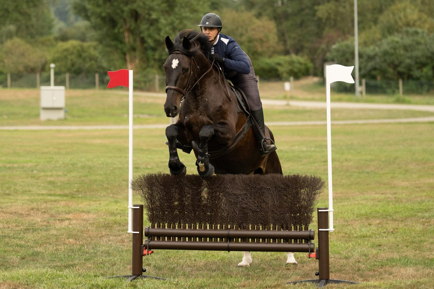 Jump 4 Joy Complete Jumps 1.8 M Straight Brush Jump