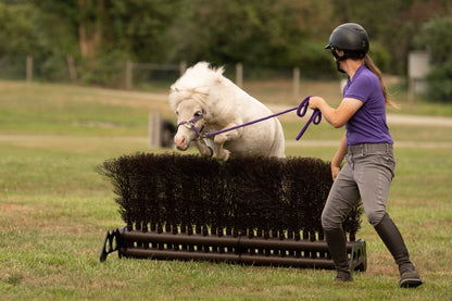 Jump 4 Joy Complete Jumps 1.8m Standing Brush Jump