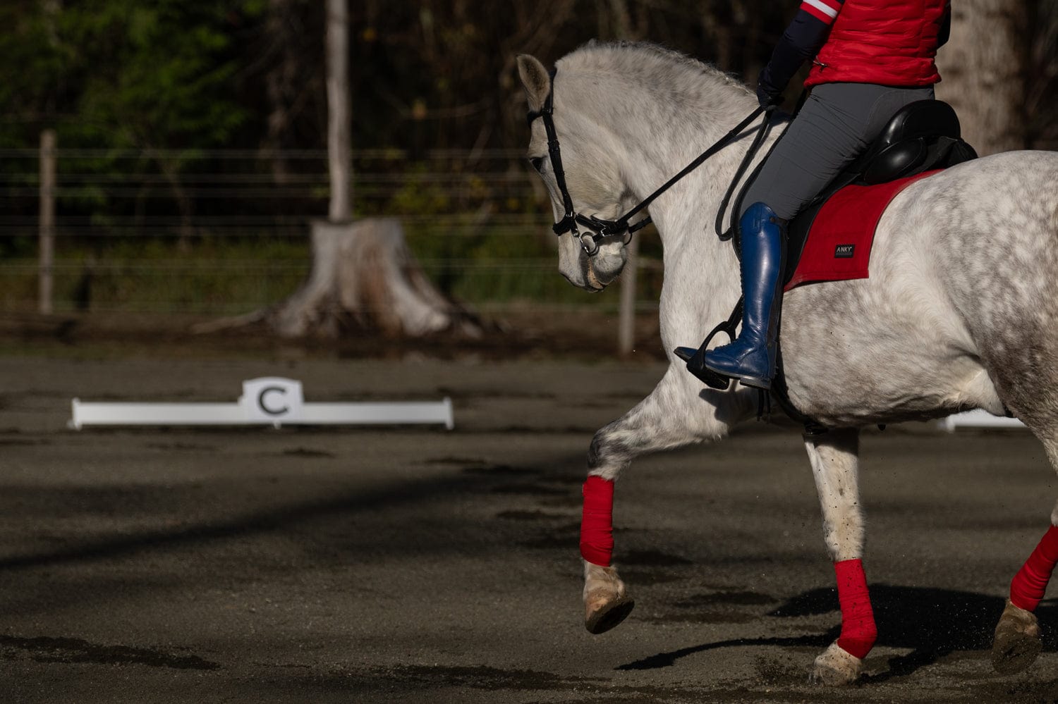 Jump 4 Joy Dressage Dressage Arena Kits