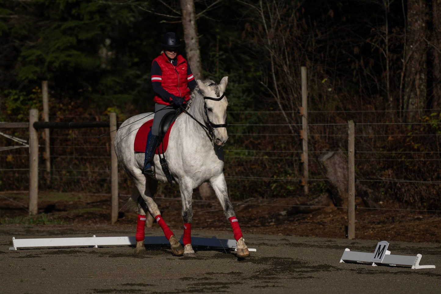 Jump 4 Joy Dressage Dressage Arena Kits