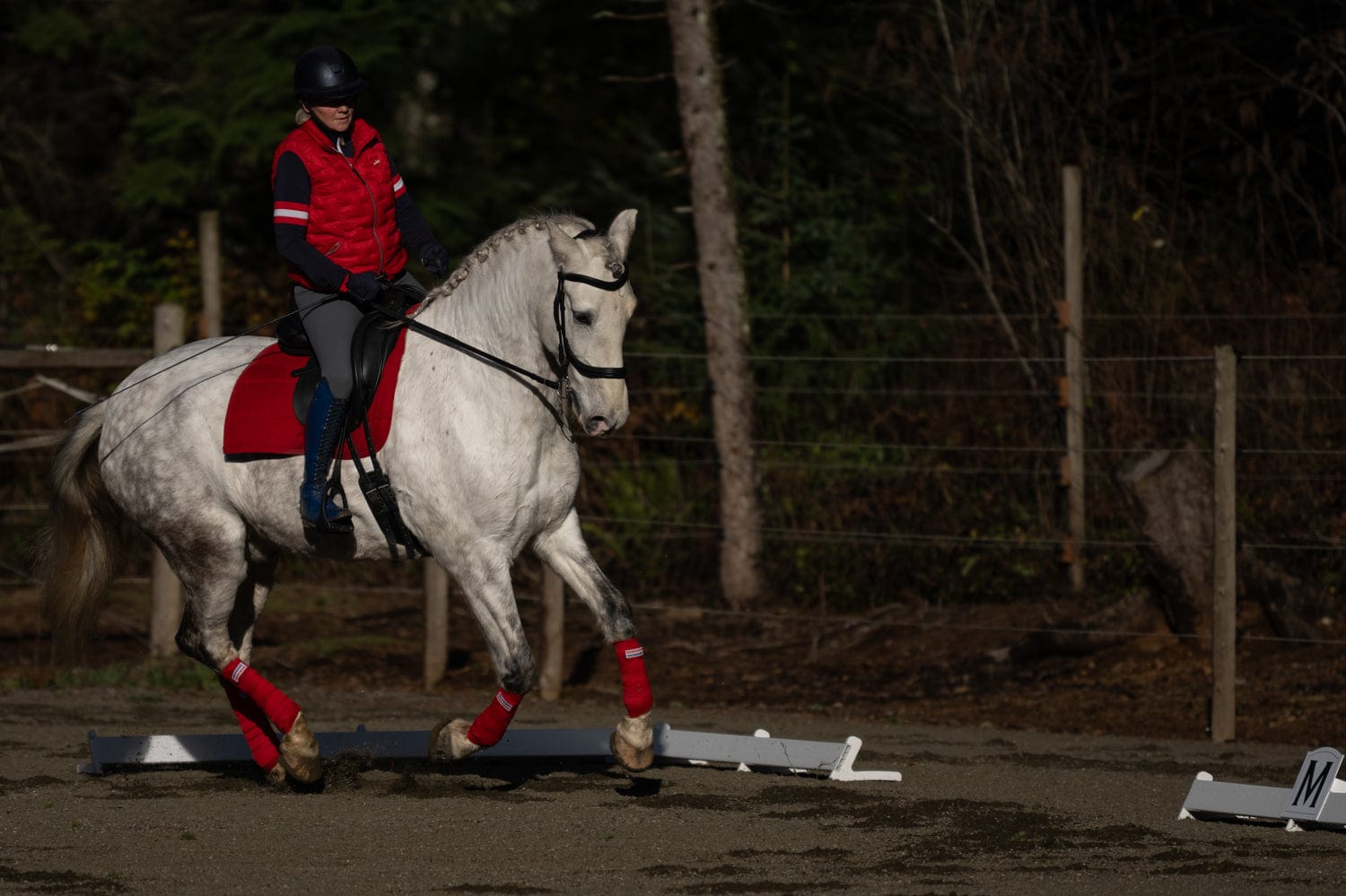 Jump 4 Joy Dressage Dressage Arena Kits