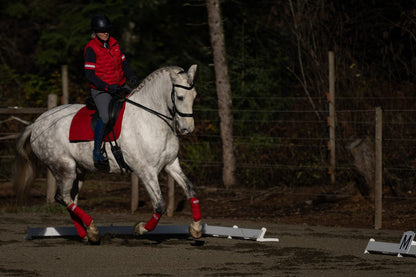 Jump 4 Joy Dressage Dressage Arena Kits