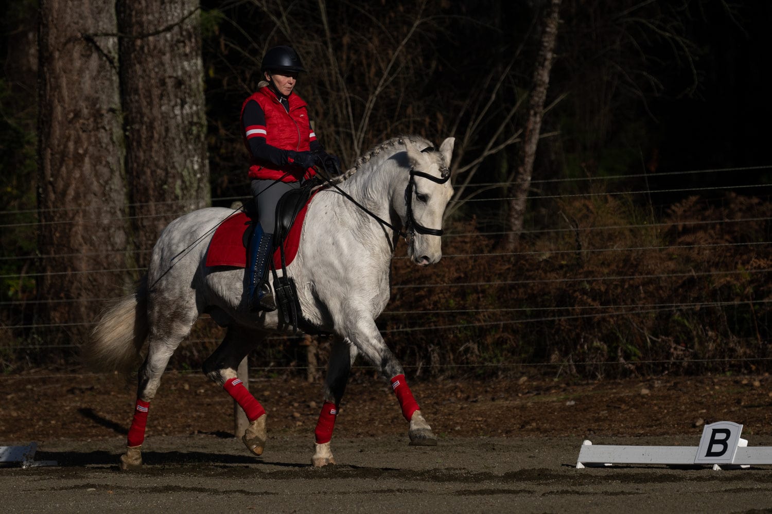 Jump 4 Joy Dressage Dressage Arena Kits