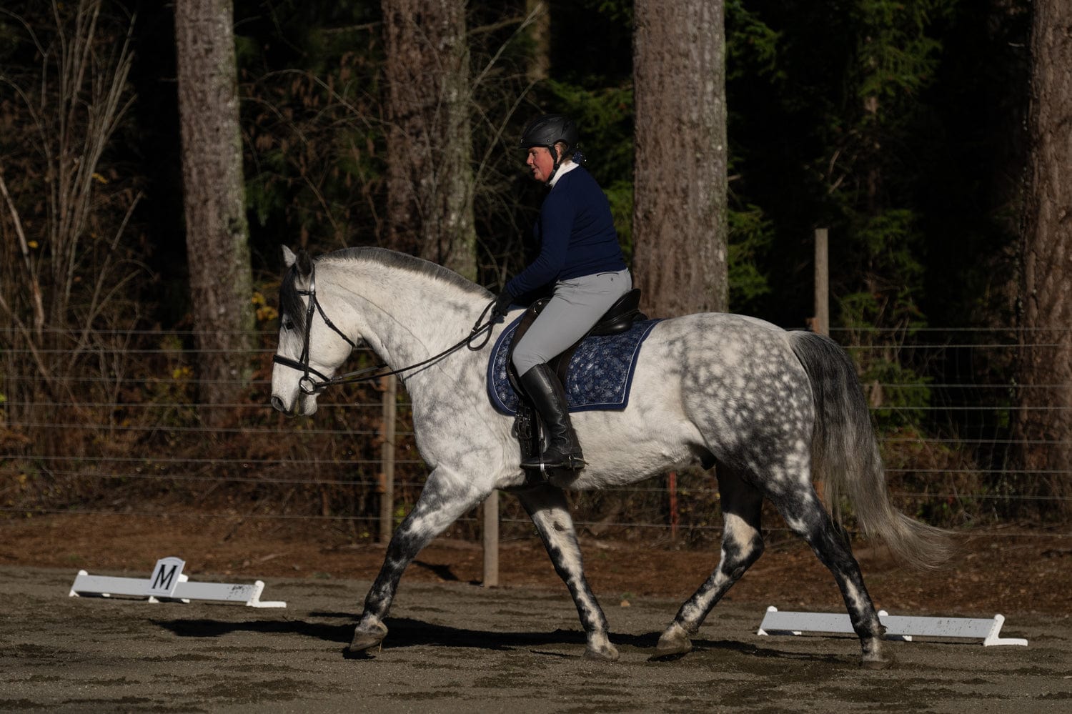 Jump 4 Joy Dressage Dressage Arena Kits