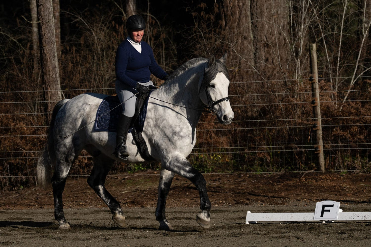 Jump 4 Joy Dressage Dressage Arena Kits