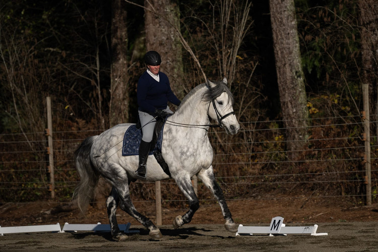 Jump 4 Joy Dressage Dressage Arena Kits