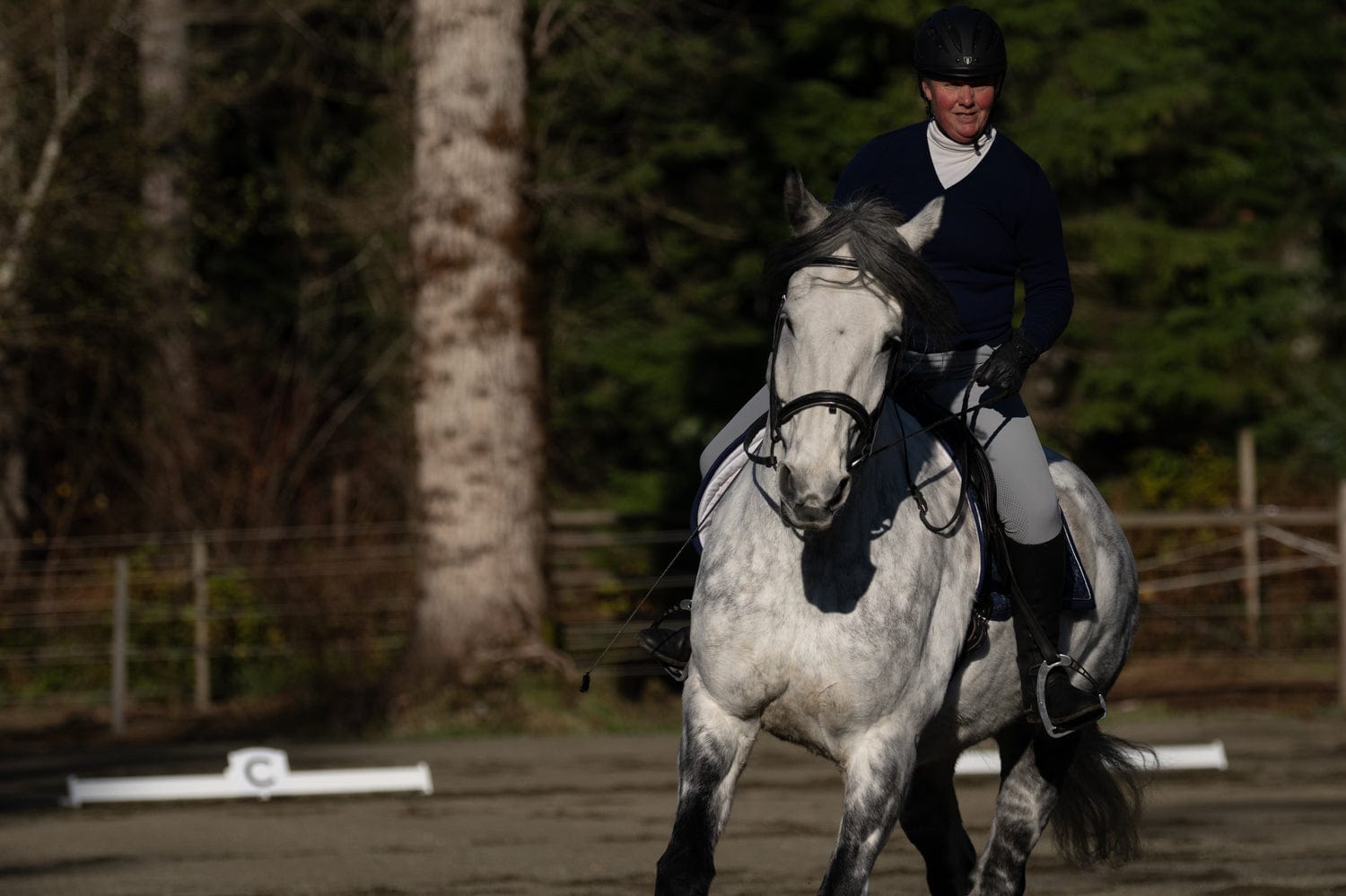 Jump 4 Joy Dressage Dressage Arena Kits