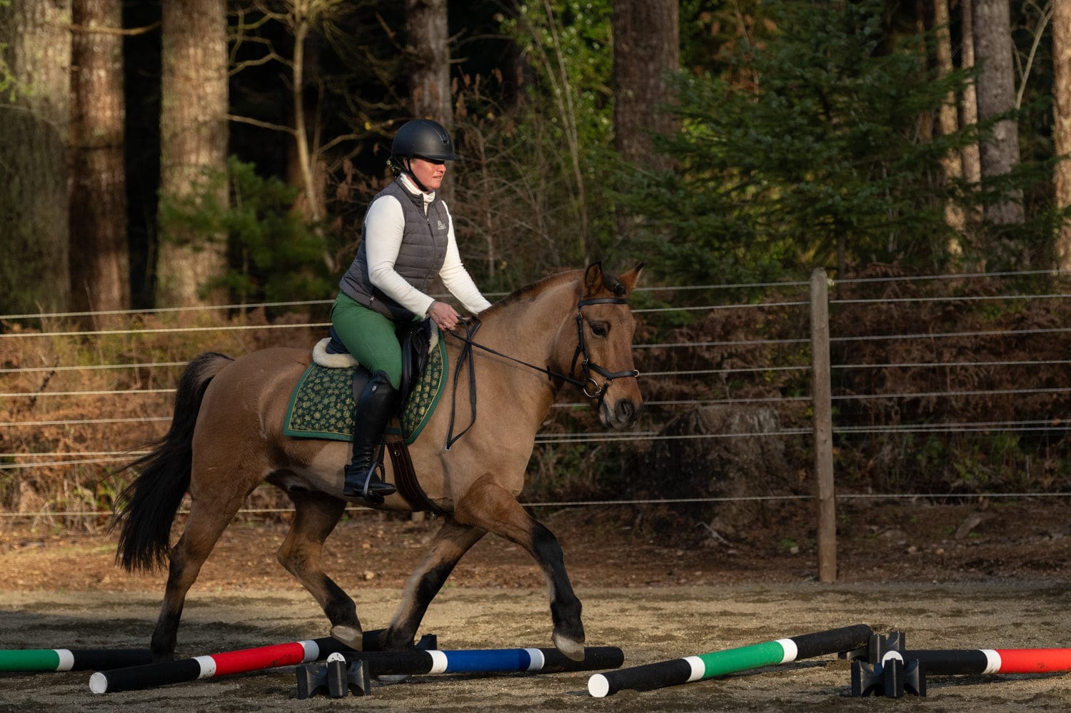 Jump 4 Joy Ground Poles Pole - 6.5' ft Zero Maintenance (Polymer Wrapped Wood)