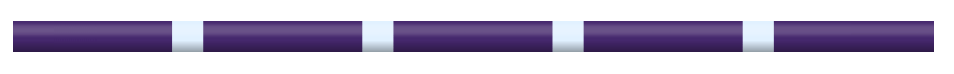 Jump 4 Joy Jump Poles Purple / White (9 bands) Pole - 10' ft Zero Maintenance (Polymer Wrapped Wood)